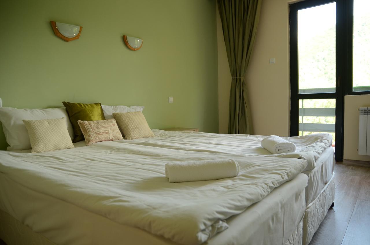 Park Hotel Ribaritsa מראה חיצוני תמונה