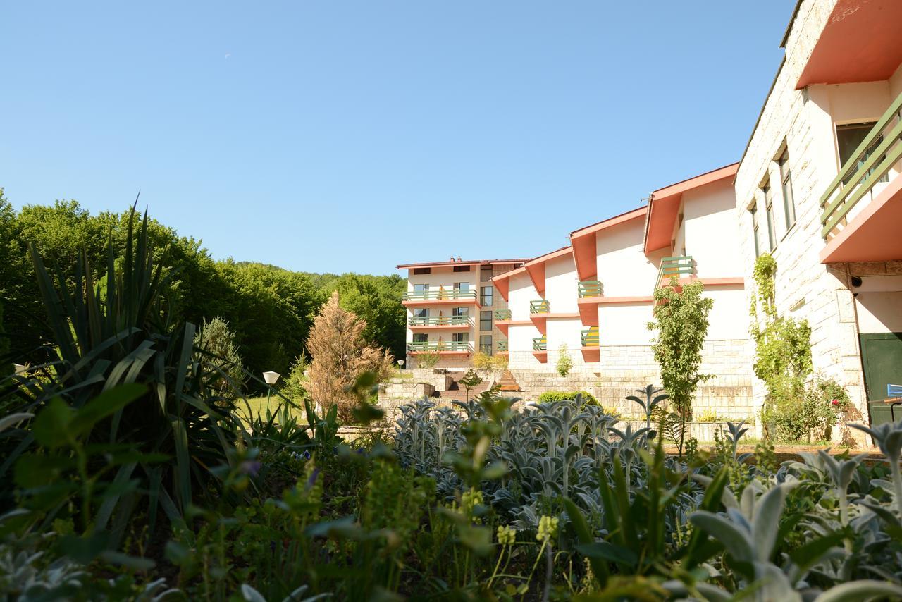 Park Hotel Ribaritsa מראה חיצוני תמונה
